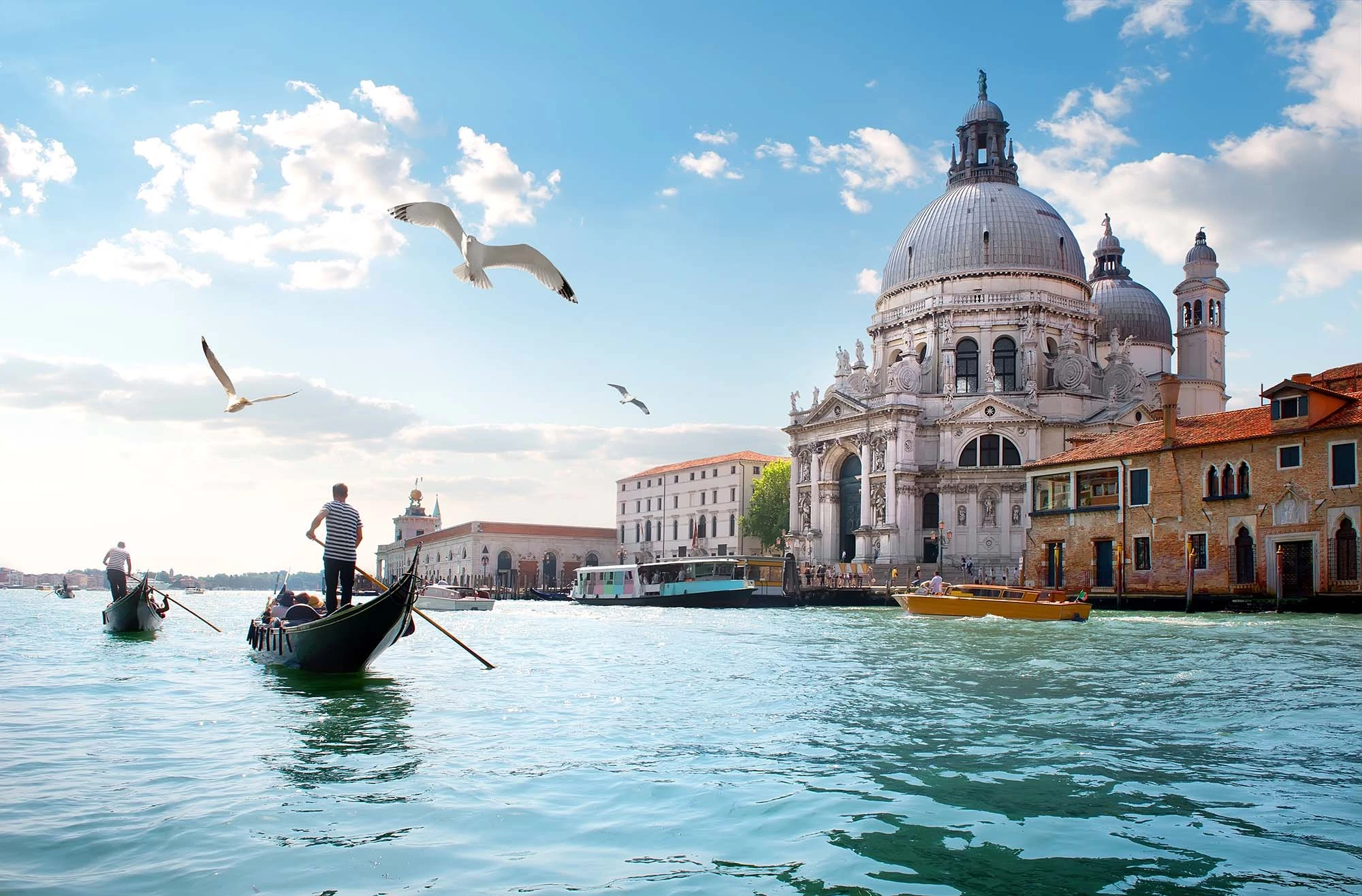 Contacts - Italy With Class