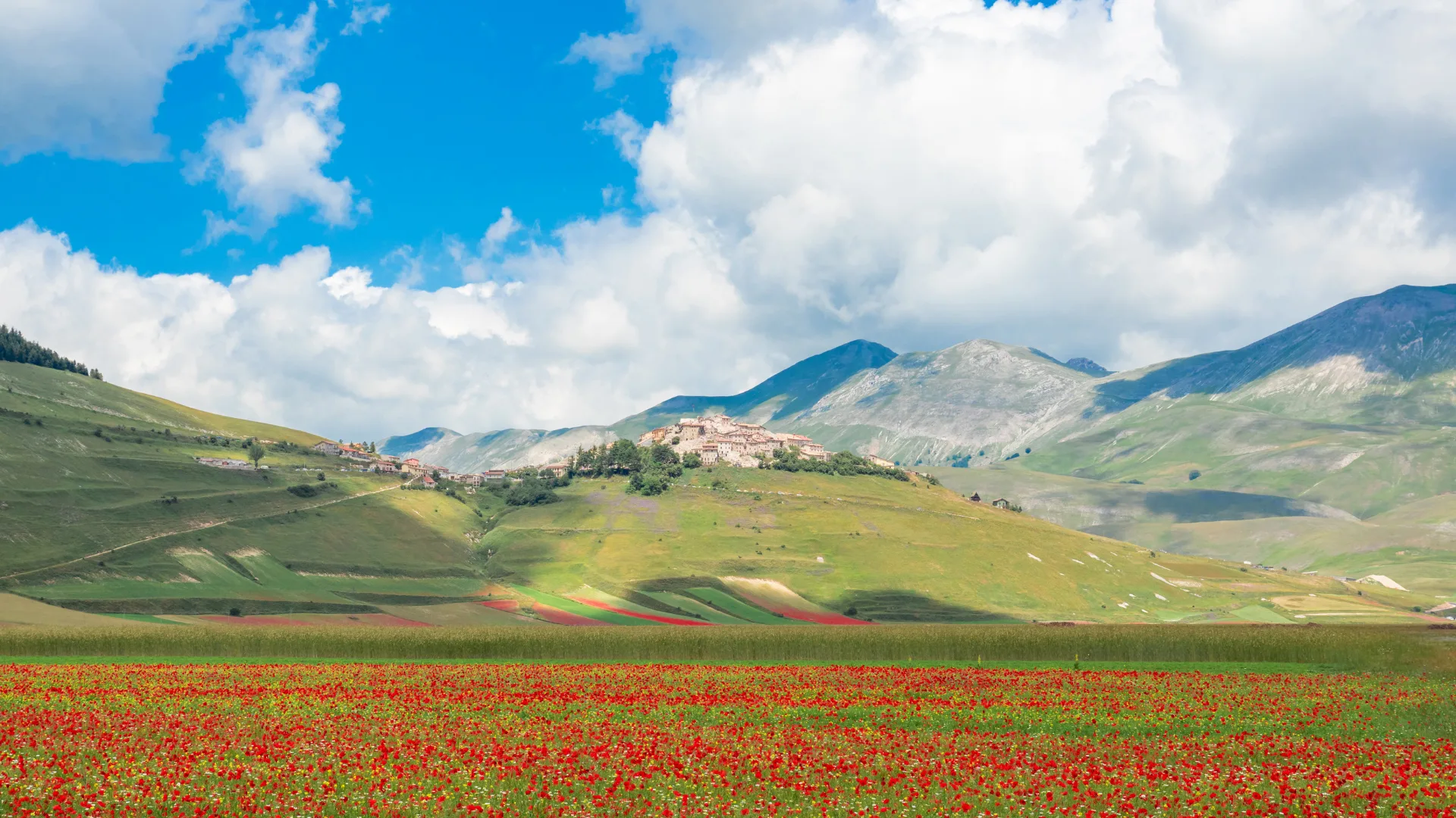 Where to Find Italy's Summer Spectacles