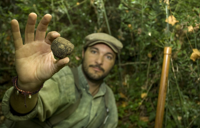 Authentic Experiences Truffle Hunting in Tuscany Italy with Class